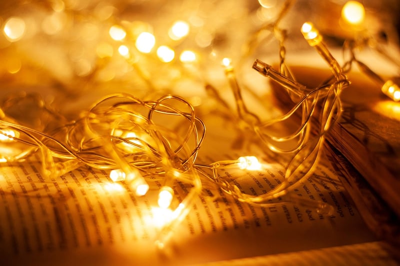 Woodland Fairy Lights